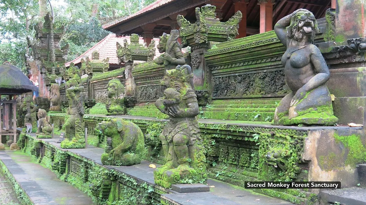 게스트하우스 Zen Rooms Ubud Sayan